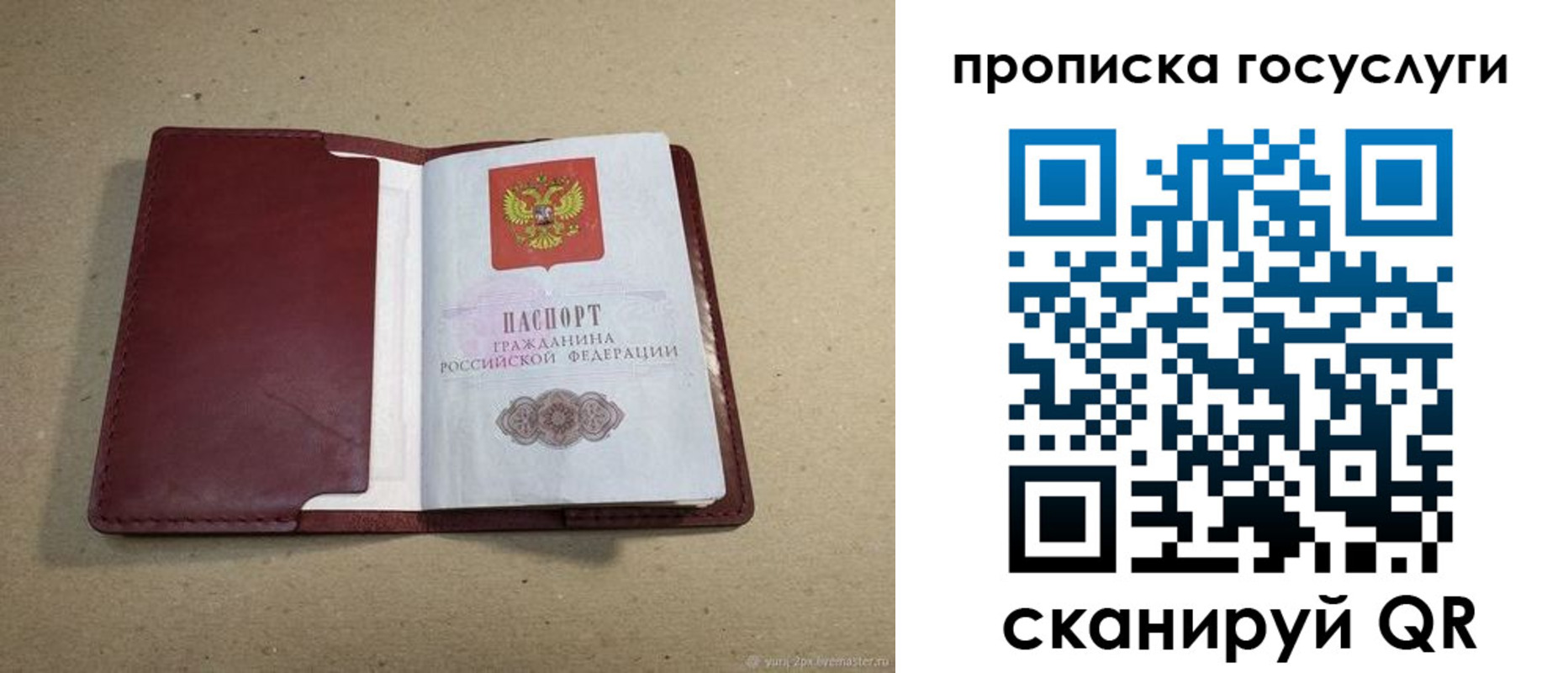 прописка поиск в Жигулёвске